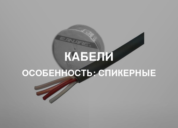 Особенность: Спикерные