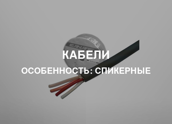 Особенность: Спикерные